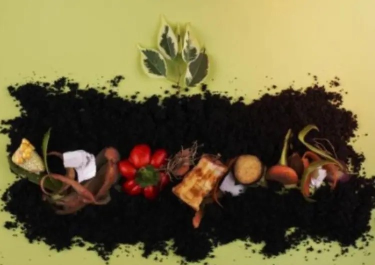 Quelle est la durée du compostage ? 